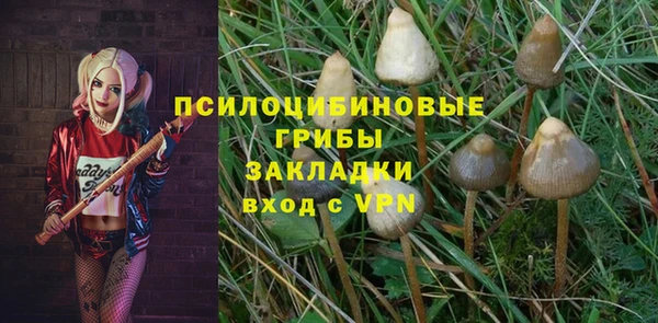 ПСИЛОЦИБИНОВЫЕ ГРИБЫ Горняк