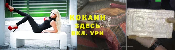 ПСИЛОЦИБИНОВЫЕ ГРИБЫ Горняк