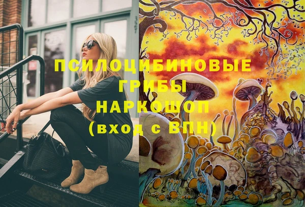 мдпв Горнозаводск