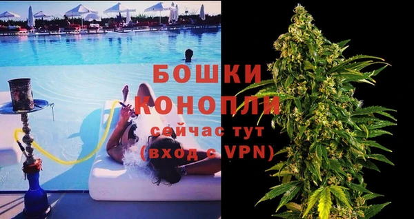 мдпв Горнозаводск