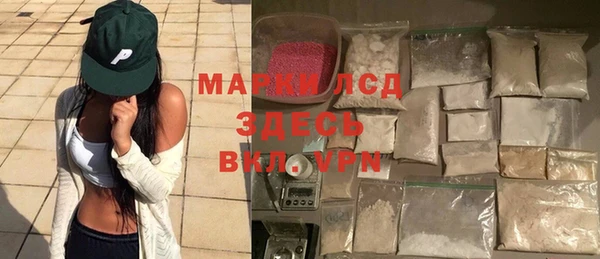 ПСИЛОЦИБИНОВЫЕ ГРИБЫ Горняк