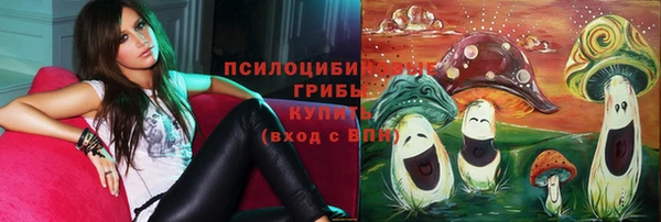 ПСИЛОЦИБИНОВЫЕ ГРИБЫ Горняк
