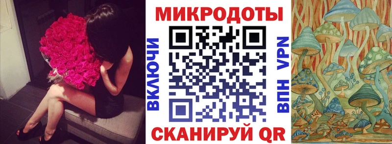 Псилоцибиновые грибы Psilocybine cubensis Каргат